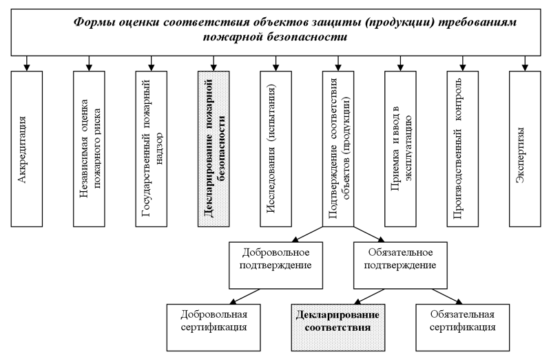 схема декларирования 2д.